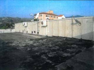 Zona