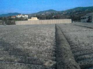 Zona