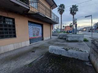 Zona