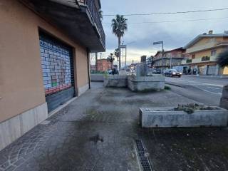 Zona