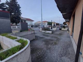 Zona