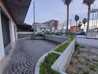 Zona