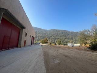 Vista