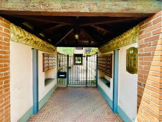 Ingresso