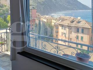 Vista