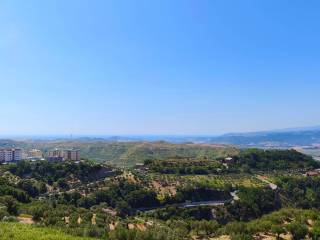 Vista