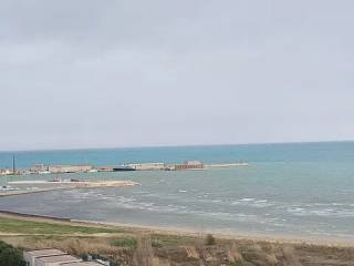 Zona