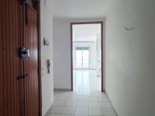 Ingresso