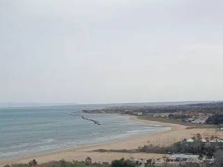 Zona