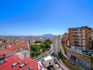Vista