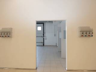 Ingresso