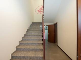 Scala