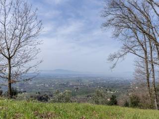 Vista