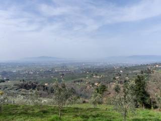 Vista