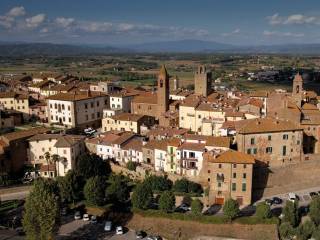 Vista