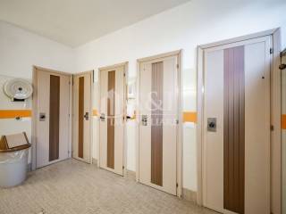 Ingresso