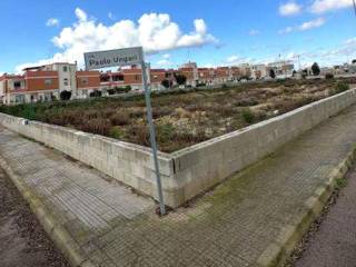 Zona