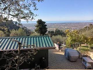 Vista