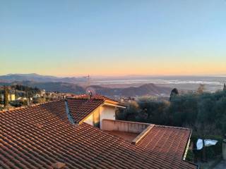 Vista