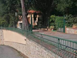 Zona