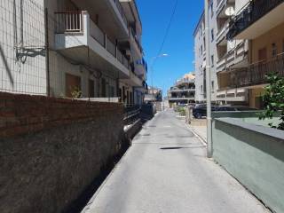 Zona