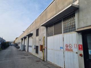 Zona