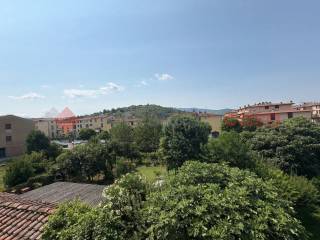 Vista