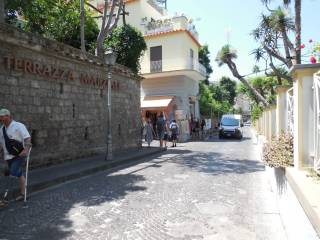 Zona