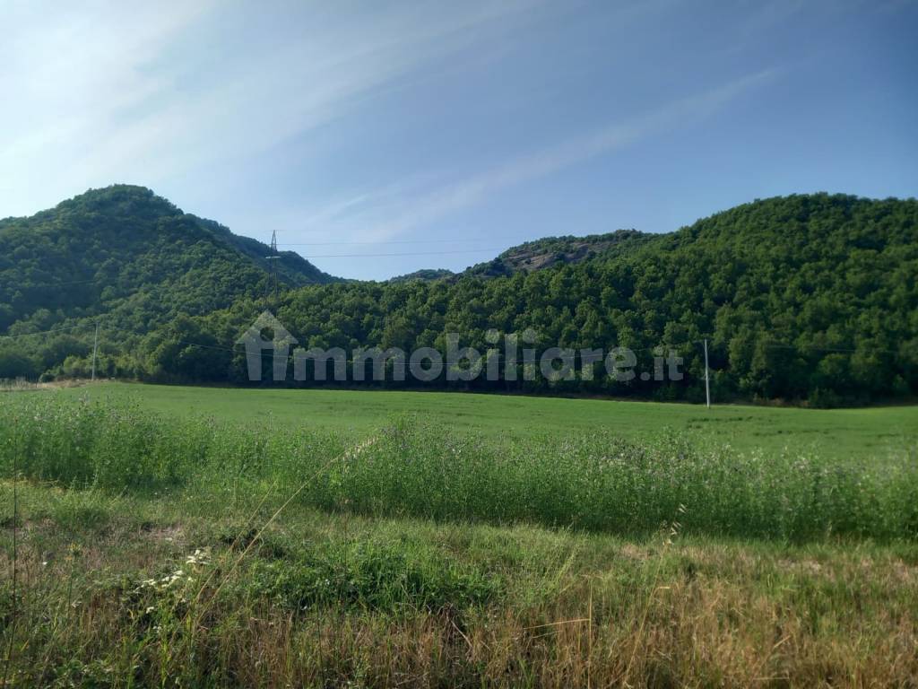 Vista