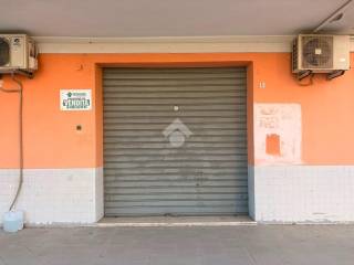 Ingresso
