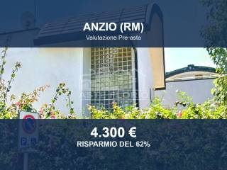 Zona