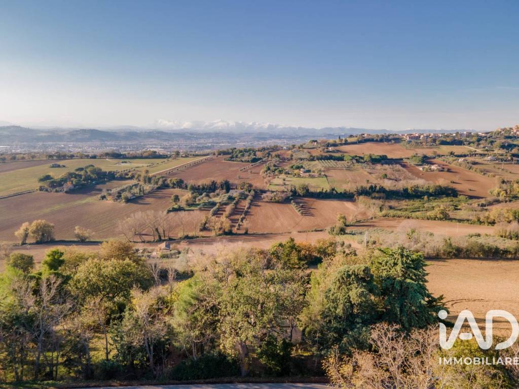 Vista