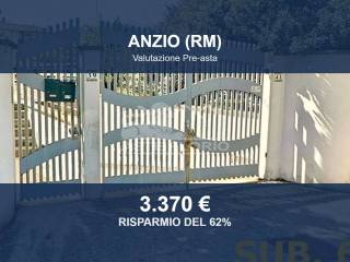 Zona