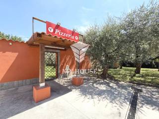 Ingresso
