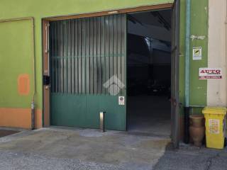 Ingresso