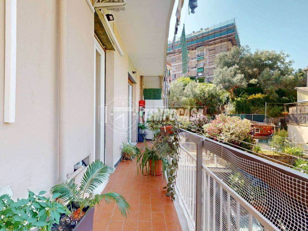Terrazzo