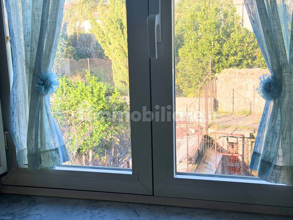 Vista