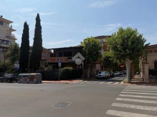 Zona