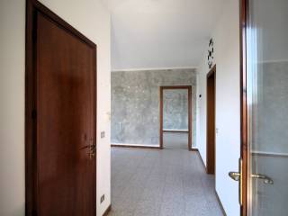 Ingresso