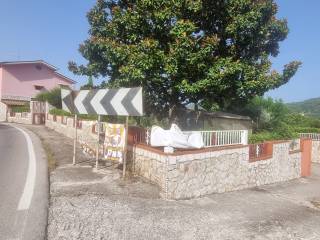 Zona