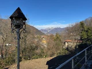 Vista