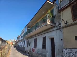 Zona