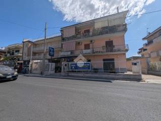 Zona
