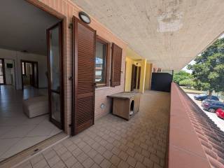 Terrazzo