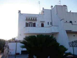 Zona