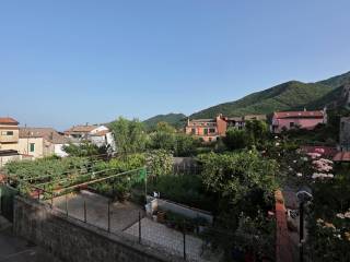 Vista