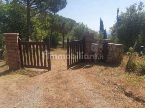 Rustico - Casale in vendita a Scansano