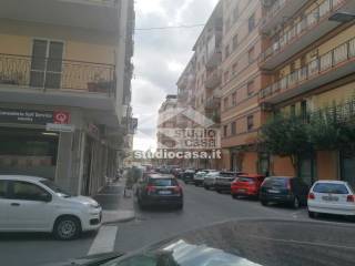 Zona