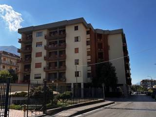 Zona