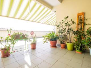 Terrazzo